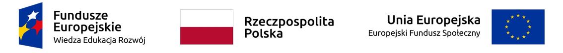 logo dostępności