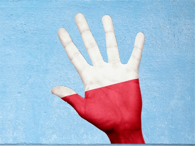 Ku rsy języka polskiego A1-B2